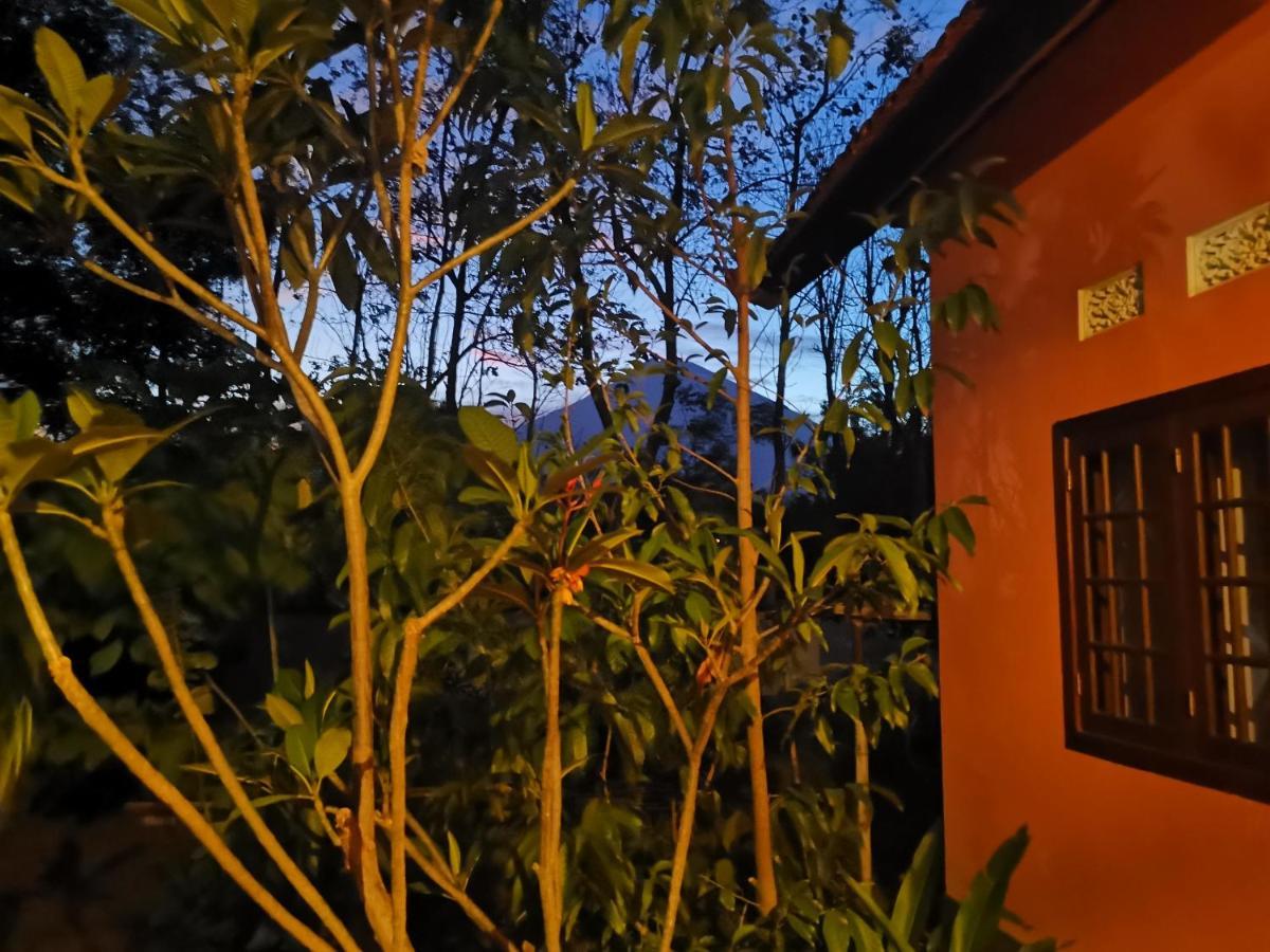 Rose Valley Villa Αμέντ Εξωτερικό φωτογραφία