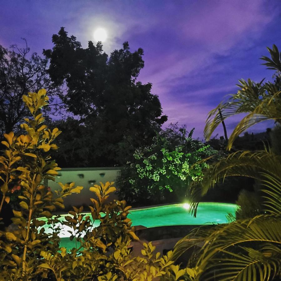Rose Valley Villa Αμέντ Εξωτερικό φωτογραφία